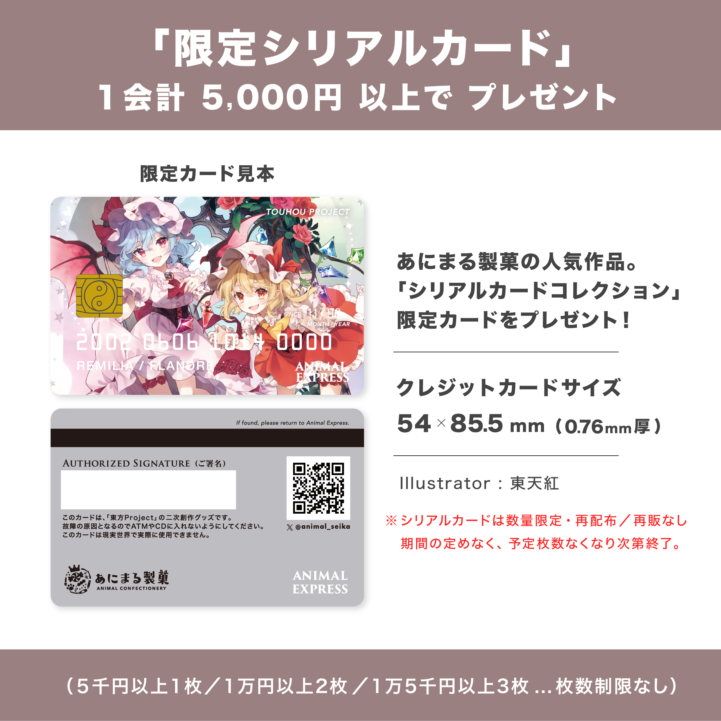 限定シリアルカード